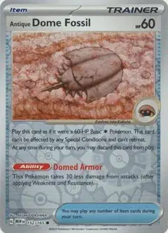 Antique Dome Fossil