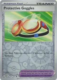 Protective Goggles